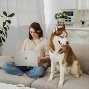 HP Pavilion 15.6″ FHD Touchscreen Laptop with Intel Core i5, 32GB RAM, 1TB SSD